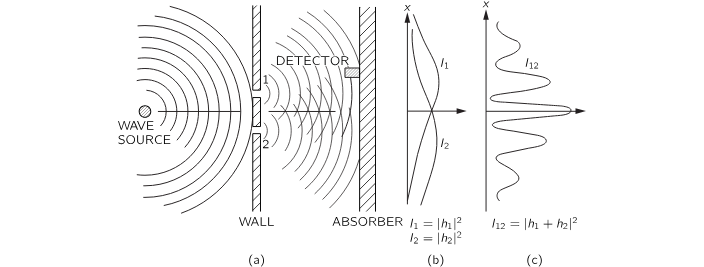 Wave Experiment